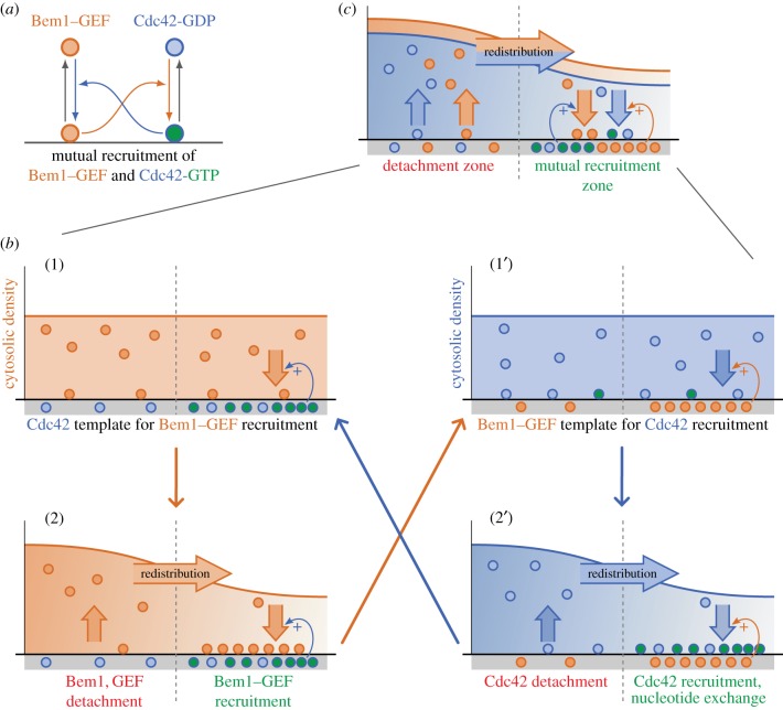 Figure 4.