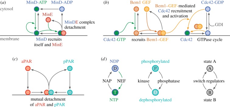 Figure 2.