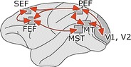 Fig. 6