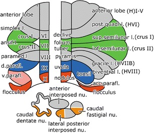 Fig. 1