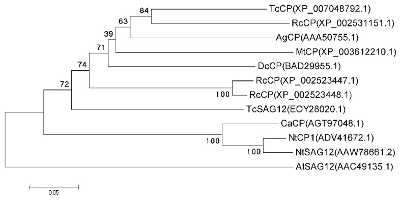 Figure 2.