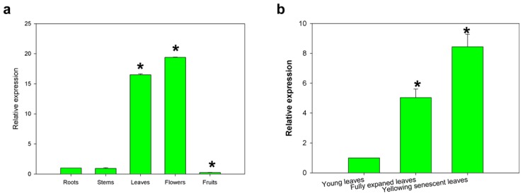 Figure 5.