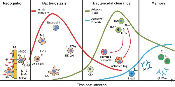 Graphical Abstract Figure.