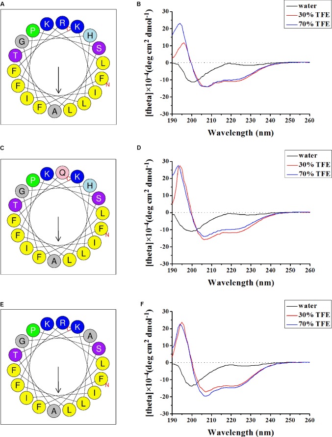 FIGURE 4