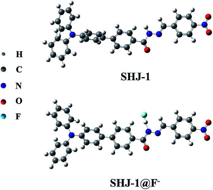 Fig. 6