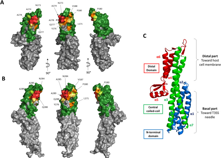 Fig 5