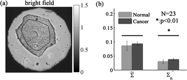 Fig. 5