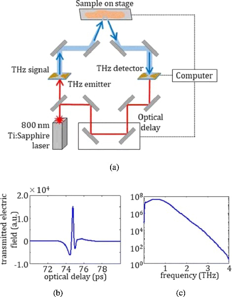 Fig. 1: