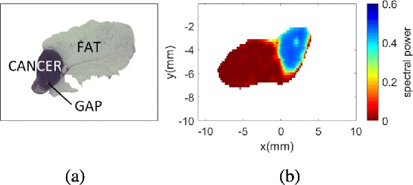 Fig. 3: