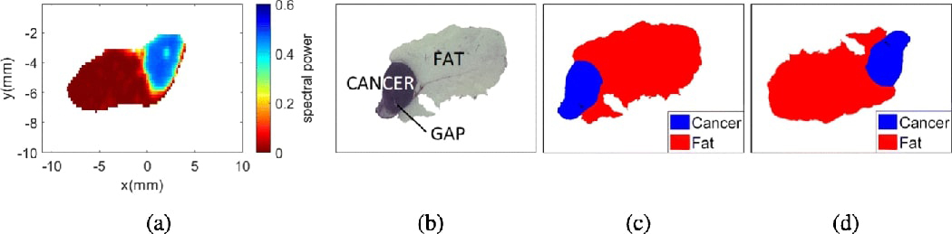 Fig. 4: