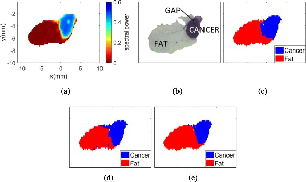 Fig. 7: