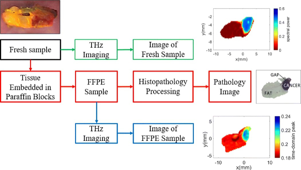 Fig. 2: