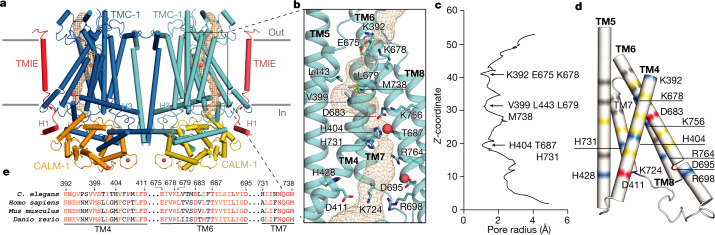 Fig. 4