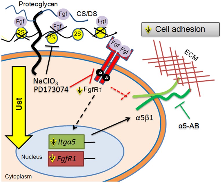 Fig 7