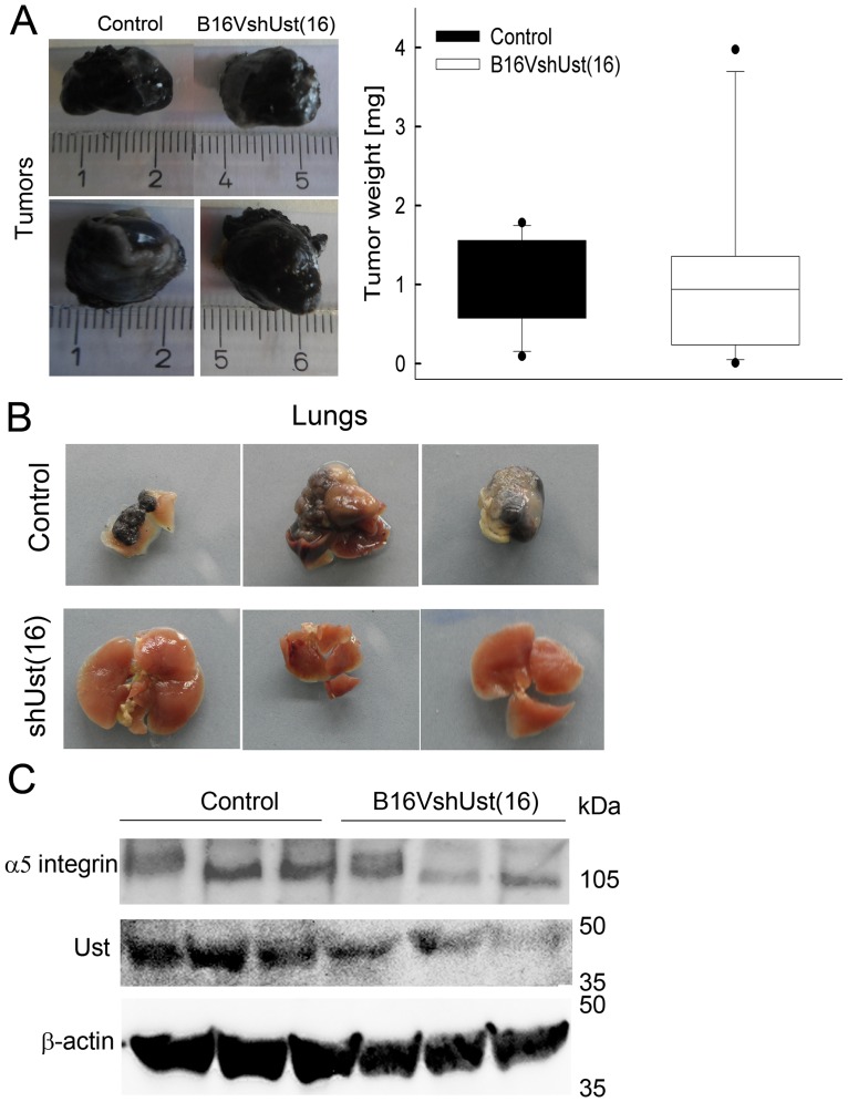 Fig 5