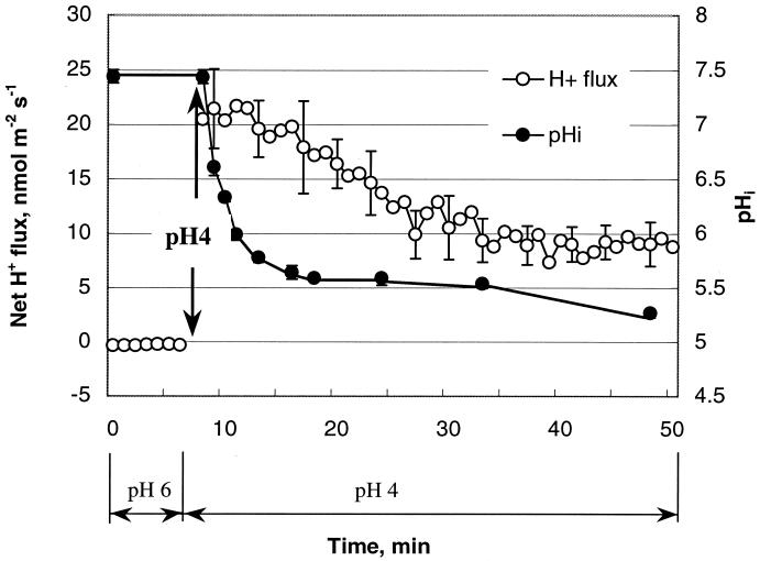 FIG. 5.