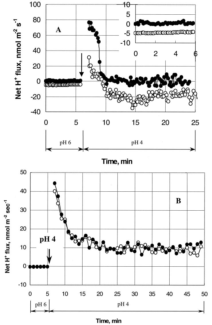 FIG.2.