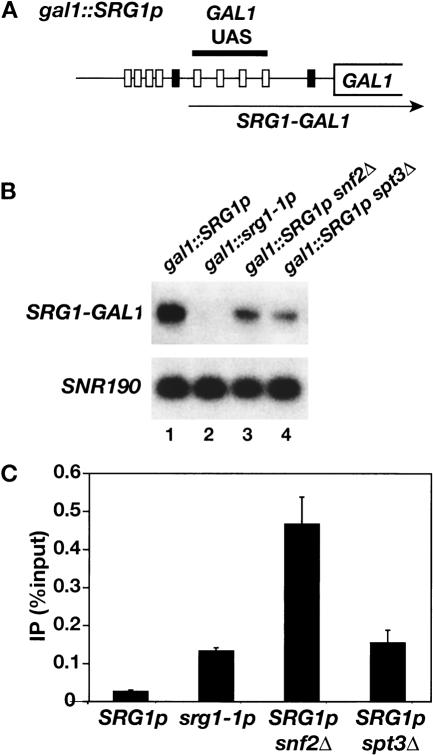 Figure 6.