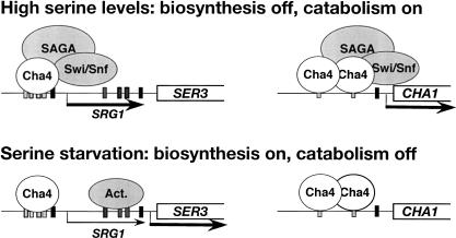 Figure 7.