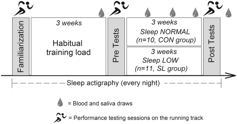 Fig. 1