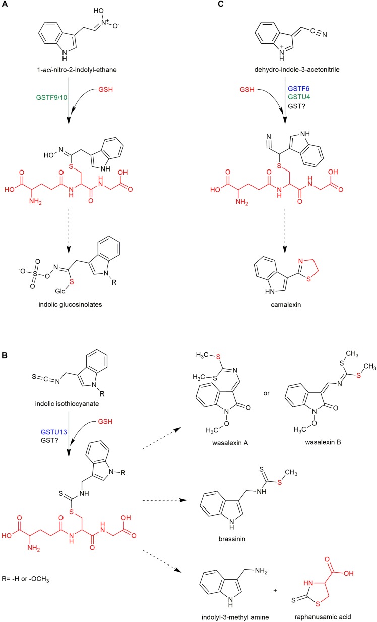 FIGURE 2