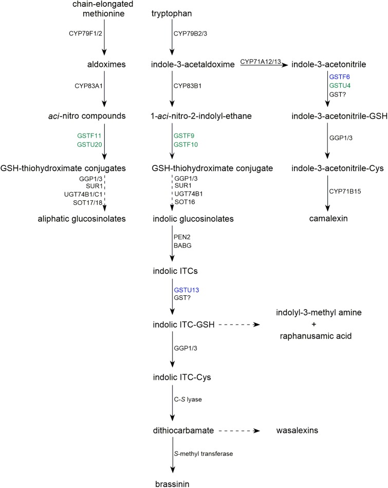 FIGURE 1