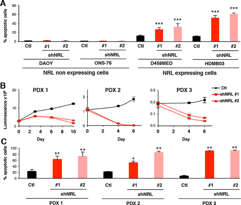 Figure 4: