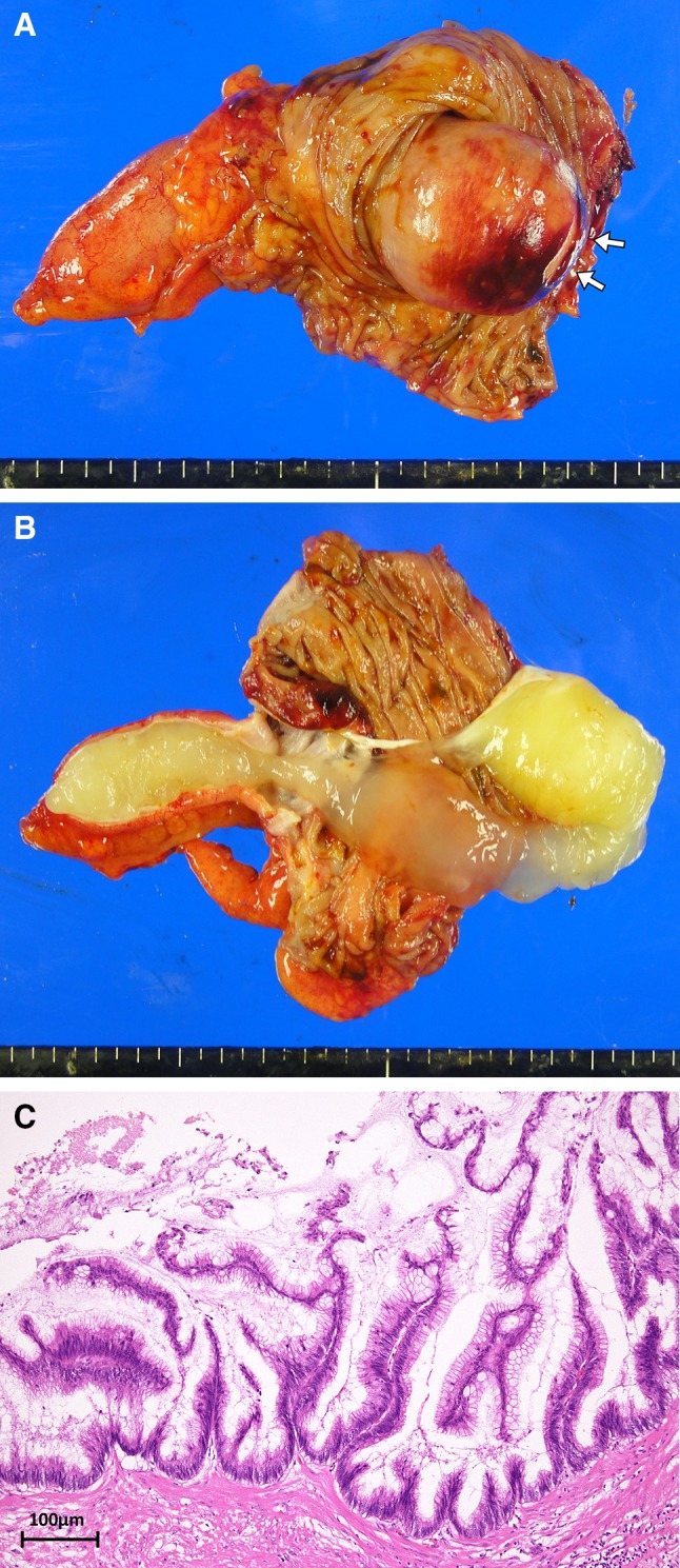 Fig. 3