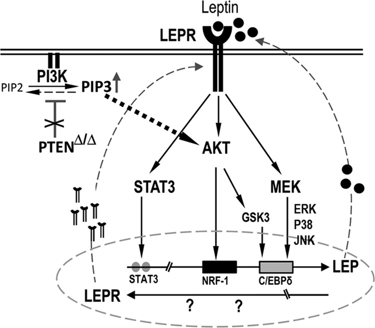 FIGURE 10.