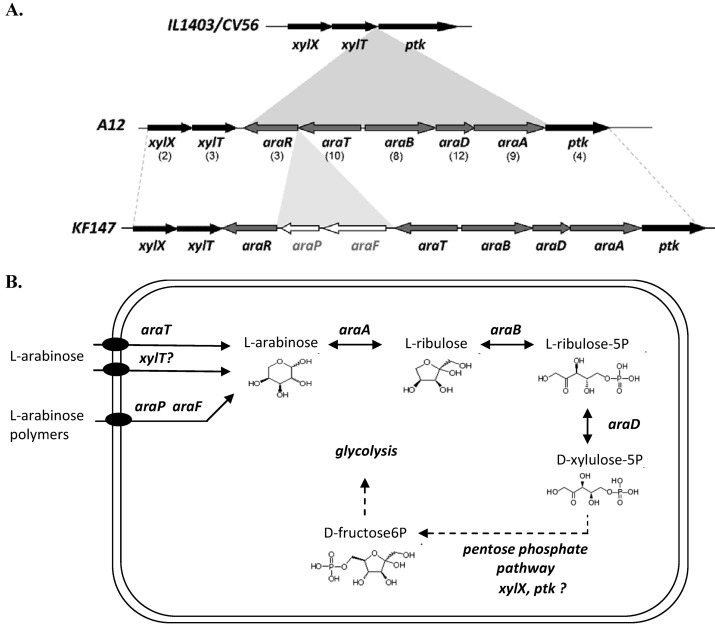 Fig 3