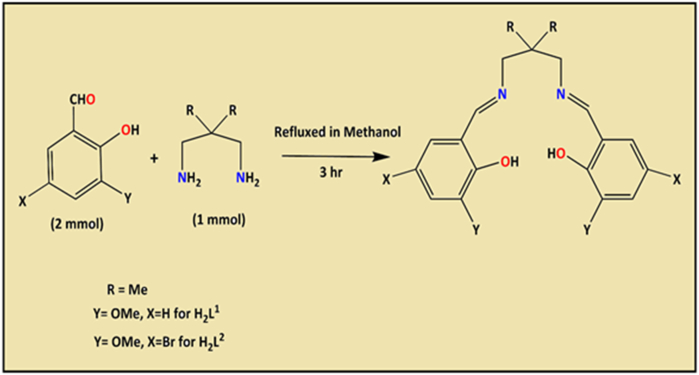 Scheme 1