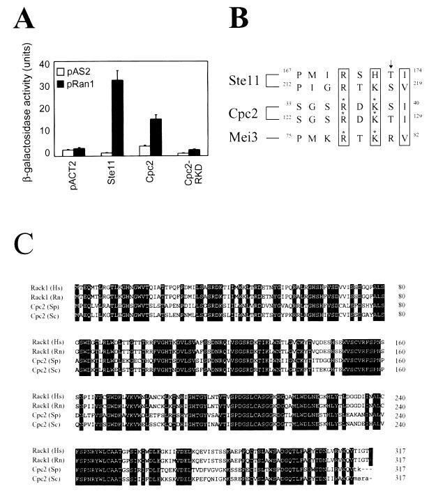 FIG. 1