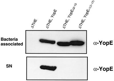 FIG. 6