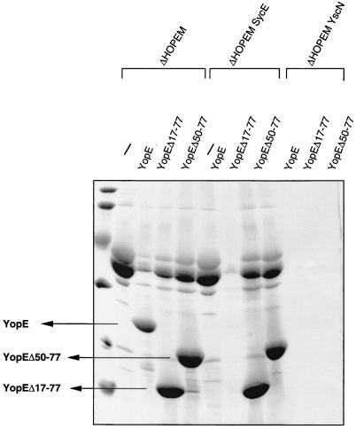 FIG. 5