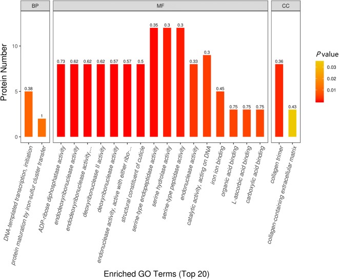 Figure 5