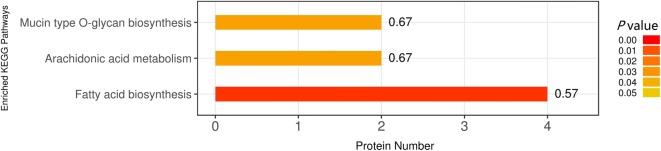 Figure 6