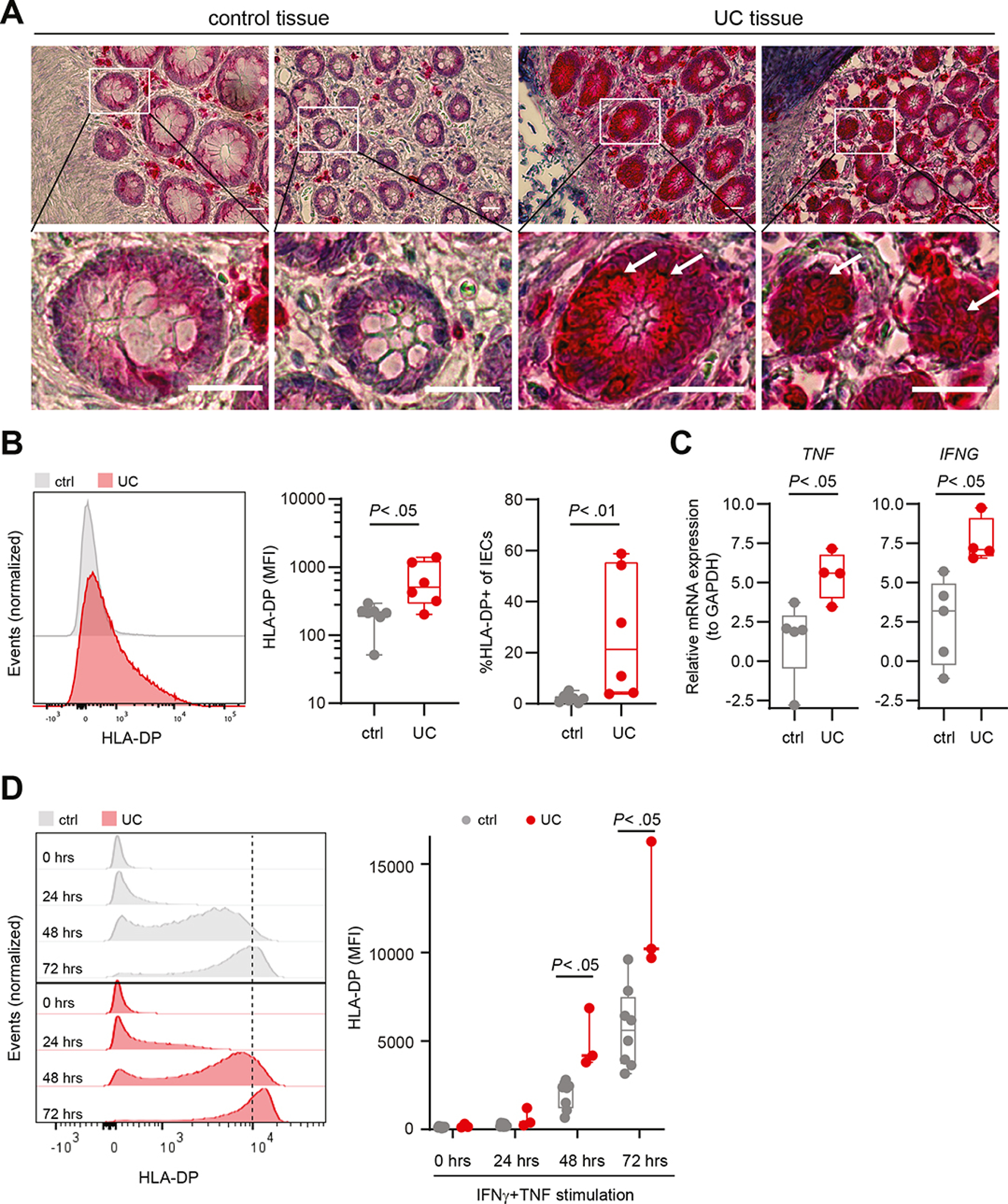 Figure 2: