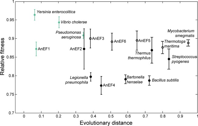 FIG 2 