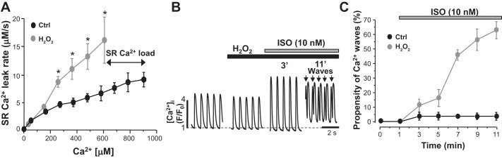 Fig. 8.