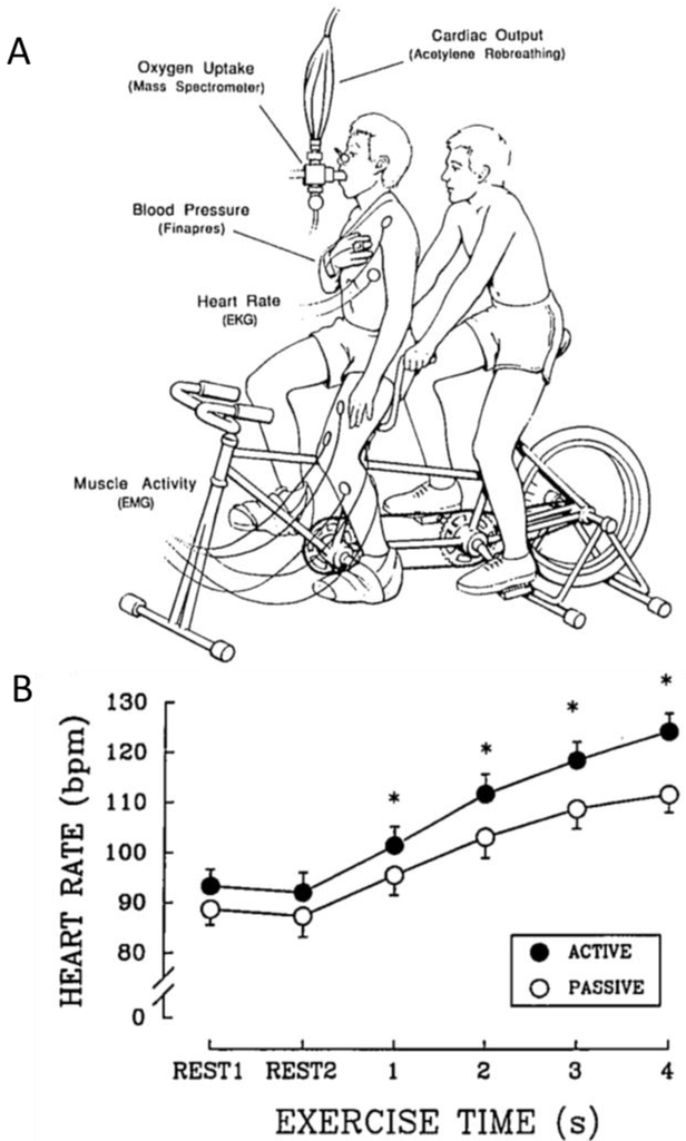 Figure 1: