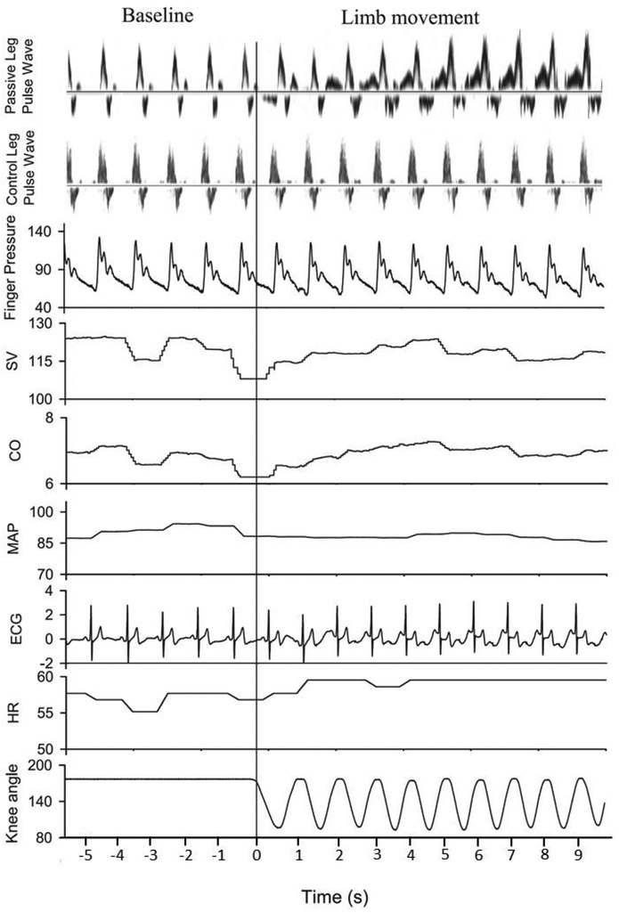 Figure 3: