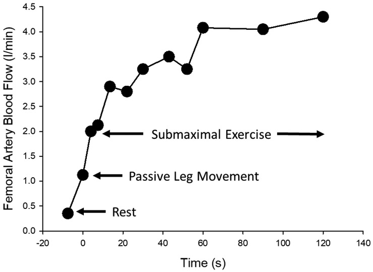 Figure 2: