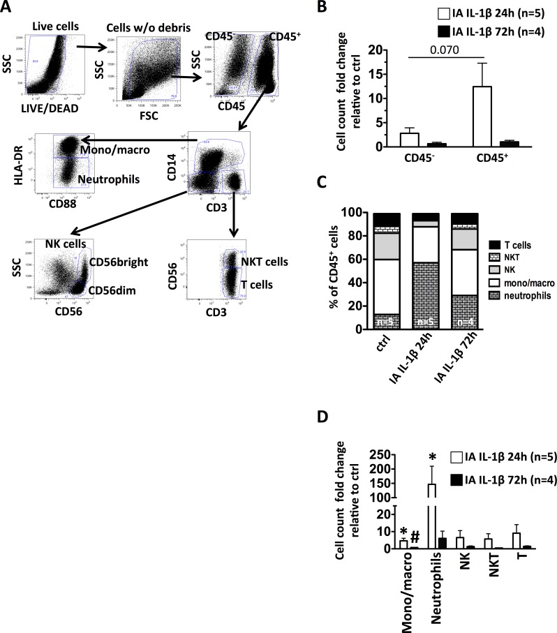 FIG. 3