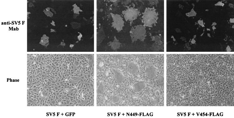 FIG. 8.