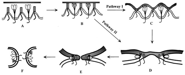 FIG. 9.