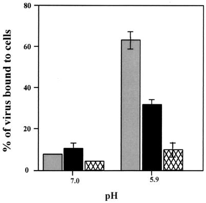 FIG. 5.