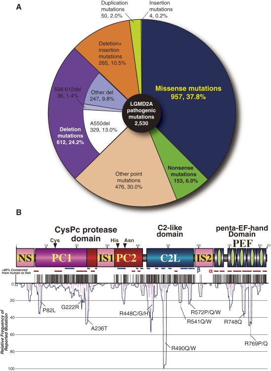 Figure 15. 