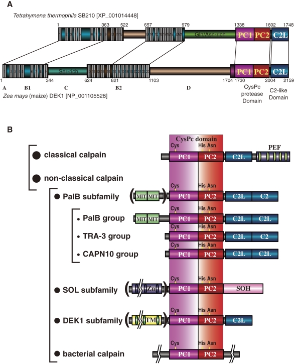 Figure 14. 