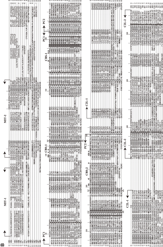 Figure 12. 