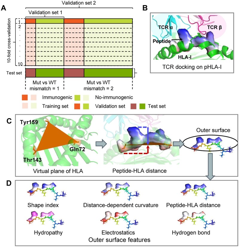 Figure 2.